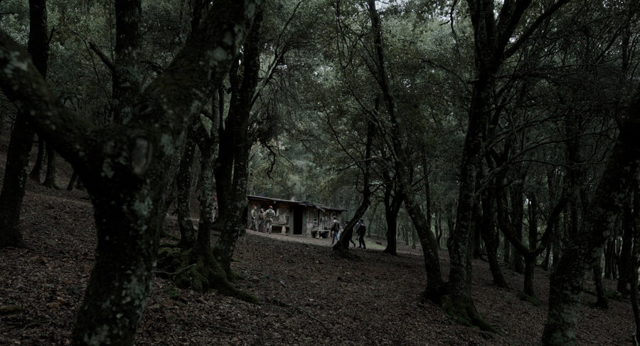 Bosco della Barbagia con una costruzione tra gli alberi